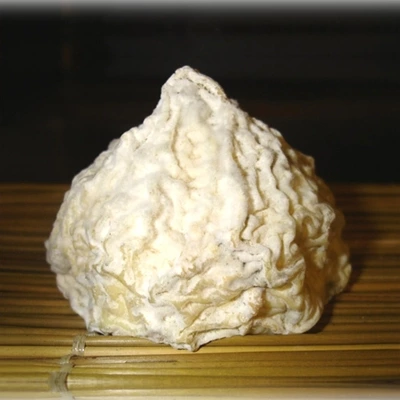 Besace de Pur Chèvre