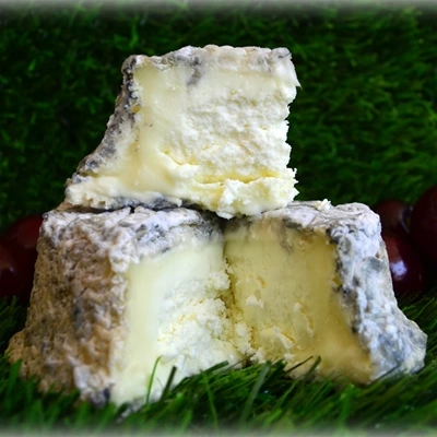 Brebis du Lochois