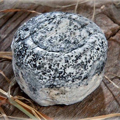 Petit Perche Cendré