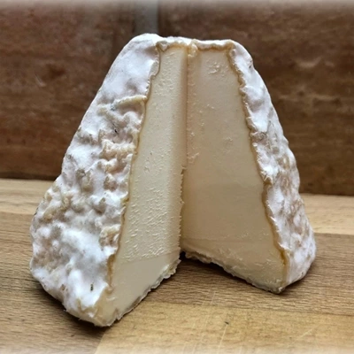 Petricó
