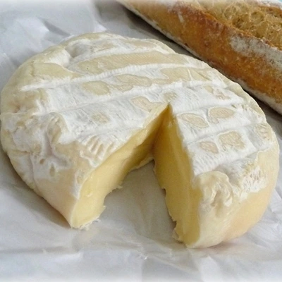 Rogeret de Lamastre