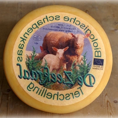 Terschelling Schapenkaas